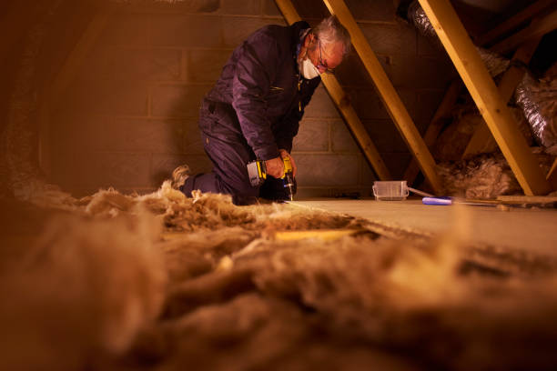 Eco-Friendly or Green Insulation Solutions in Willowbrook, IL